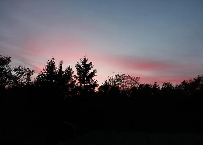 酒店 Victoria Living